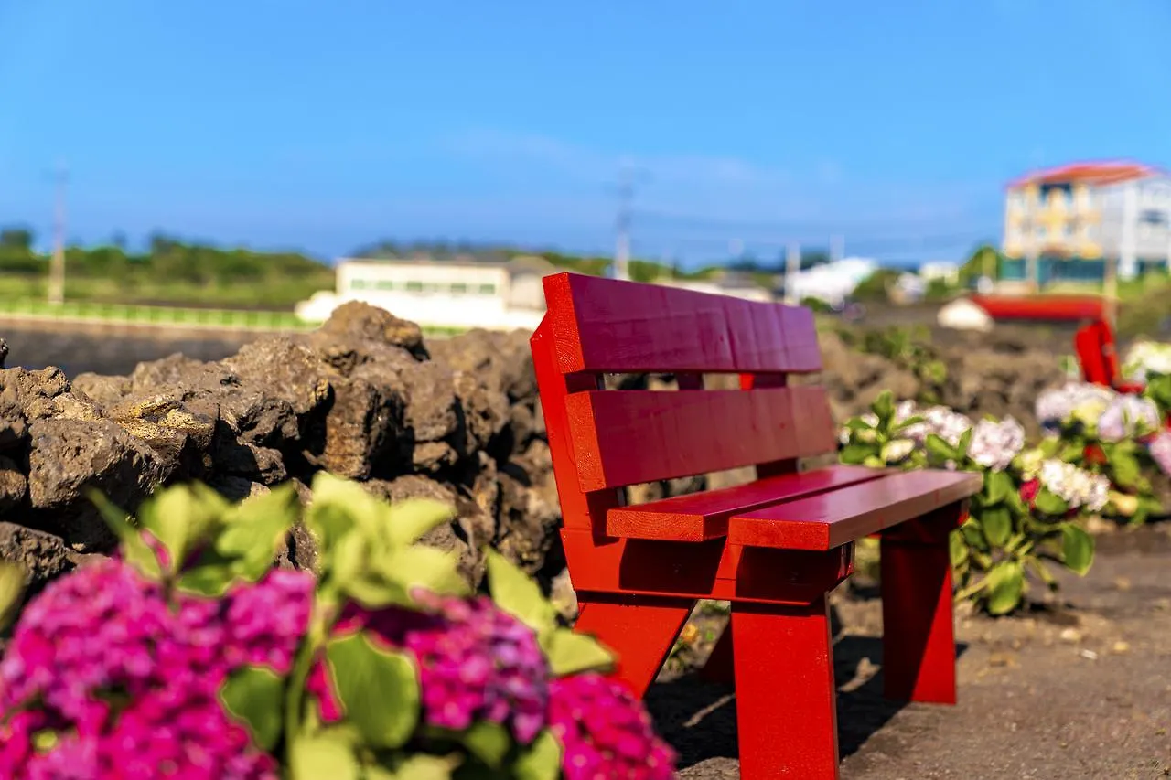Mstay Pension 제주 대한민국